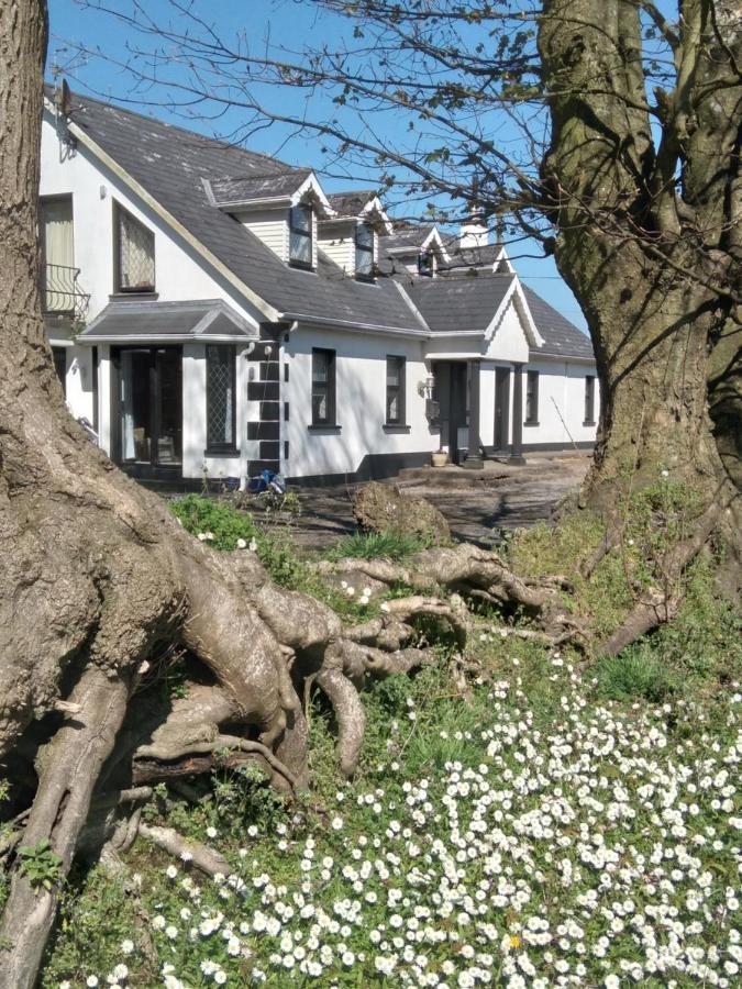 The Wandering Donkey Guest House Carlow Exterior photo