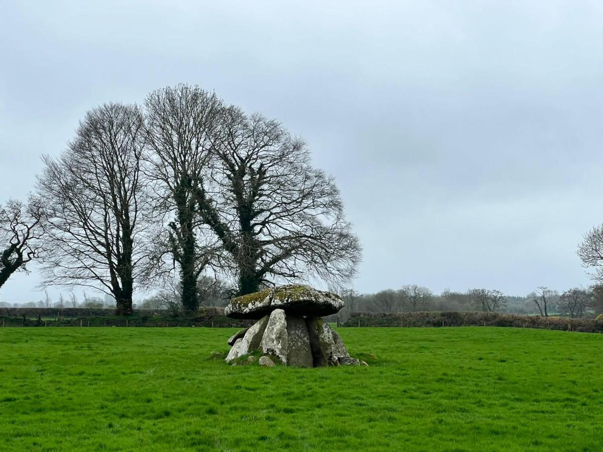 The Wandering Donkey Guest House Carlow Exterior photo